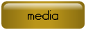 Download author media